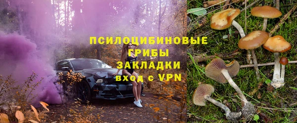 spice Липки