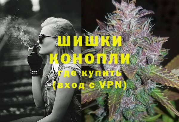 трава Магас