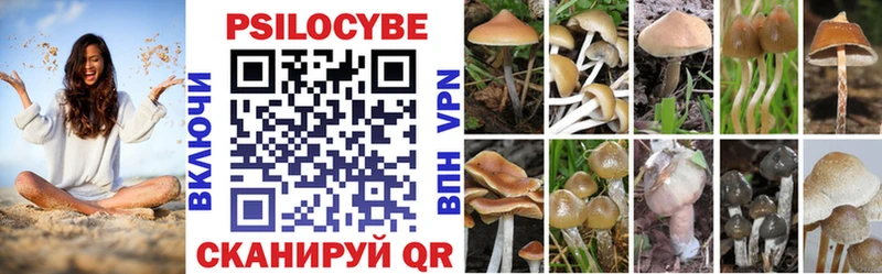 Галлюциногенные грибы MAGIC MUSHROOMS  Кирс 